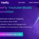 YouTube Music Promotion