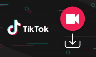 TikTok Video Downloader