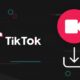 TikTok Video Downloader