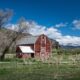 Cedarshed Rancher