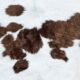 Exotic Cowhide Rugs