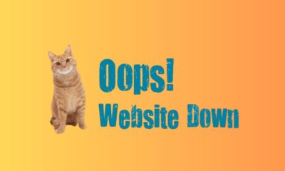 Website Is Down