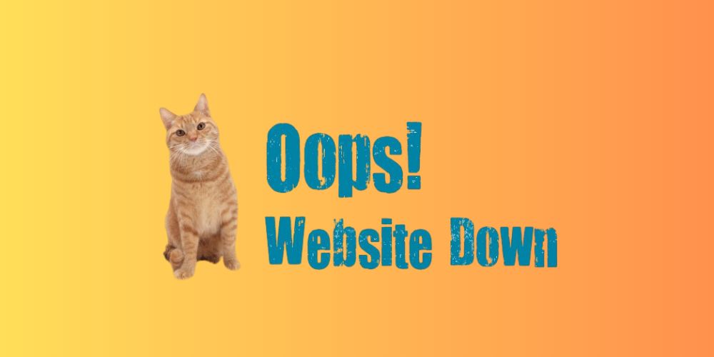 Website Is Down