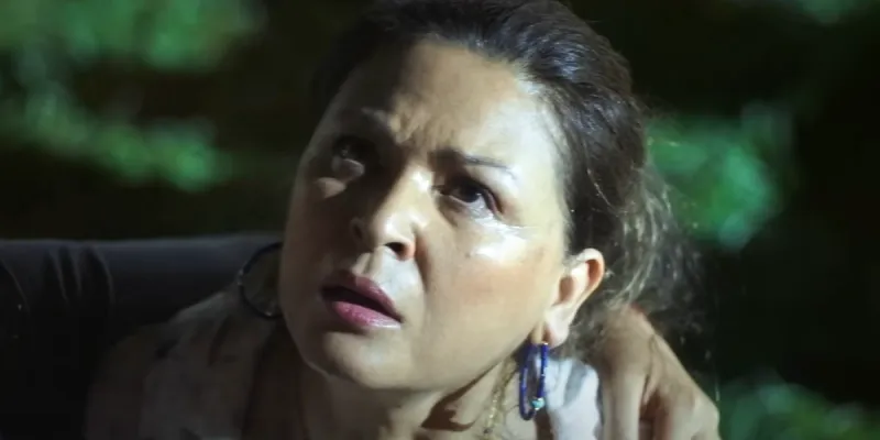 Rocio Reyes Played By Elpidia Carrillo
